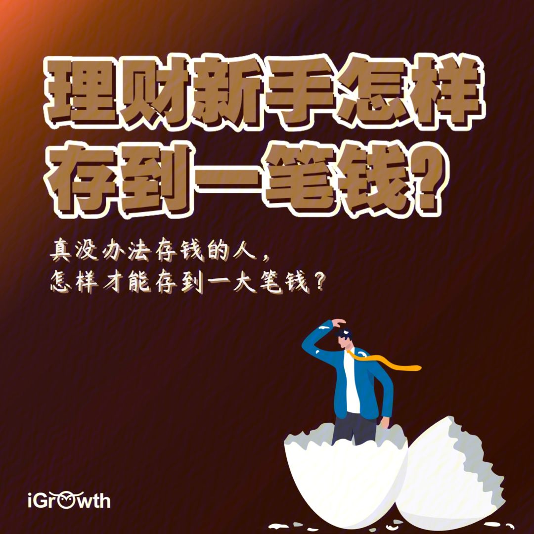 新手如何理财(新手如何理财比较安全)