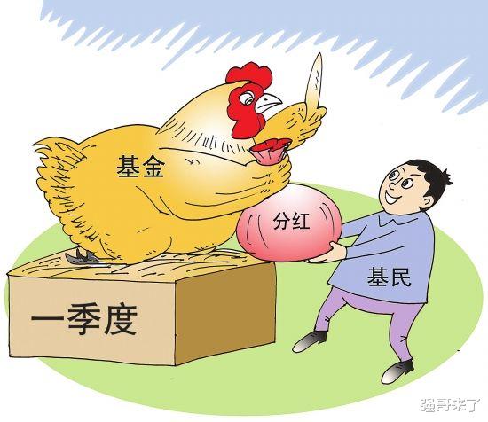 理财分红(理财分红方式选择现金分红还是红利再投)