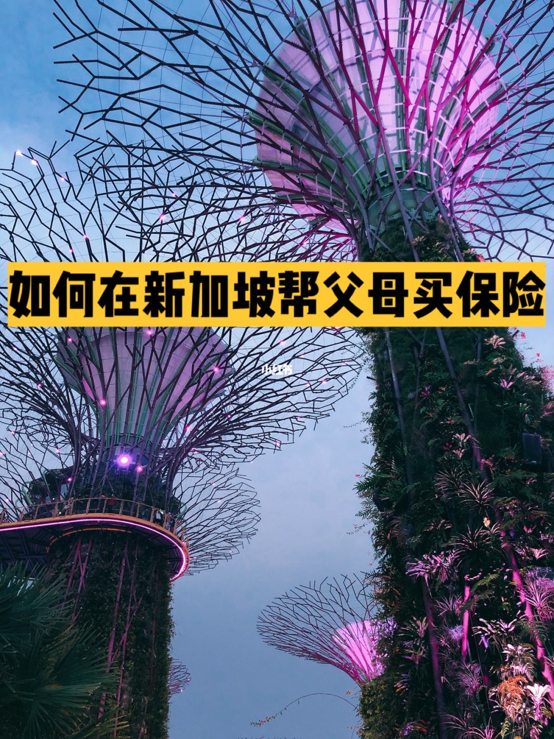 新加坡理财(新加坡理财产品骗局)