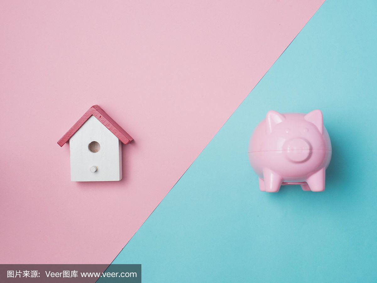 小猪理财(小猪理财app)