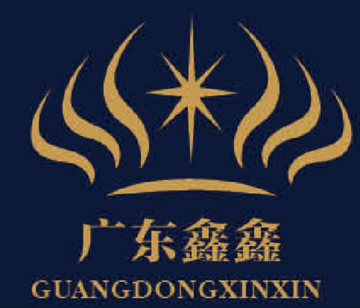 鑫鑫理财(鑫鑫理财b款产品说明书)