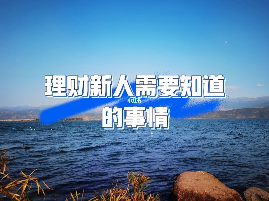 理财新人(理财新人工作计划)