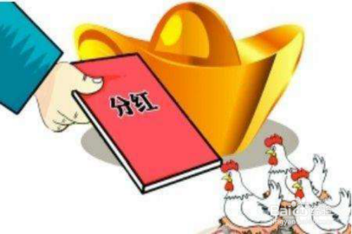 理财分红(理财分红怎么算)