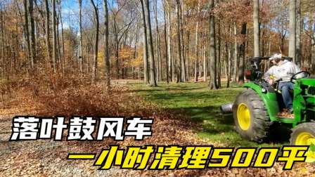风车理财(风车理财里面平台都不见了)